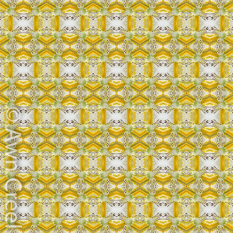AC-1791 Pattern