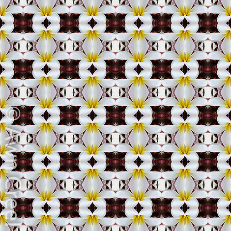 AC-1820 Pattern